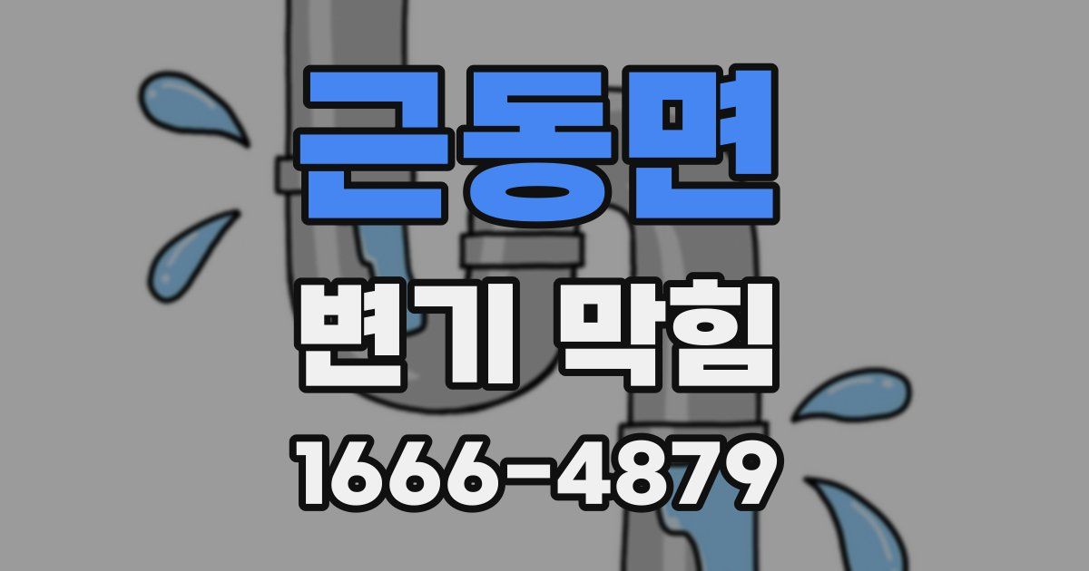근동면 변기 막힘