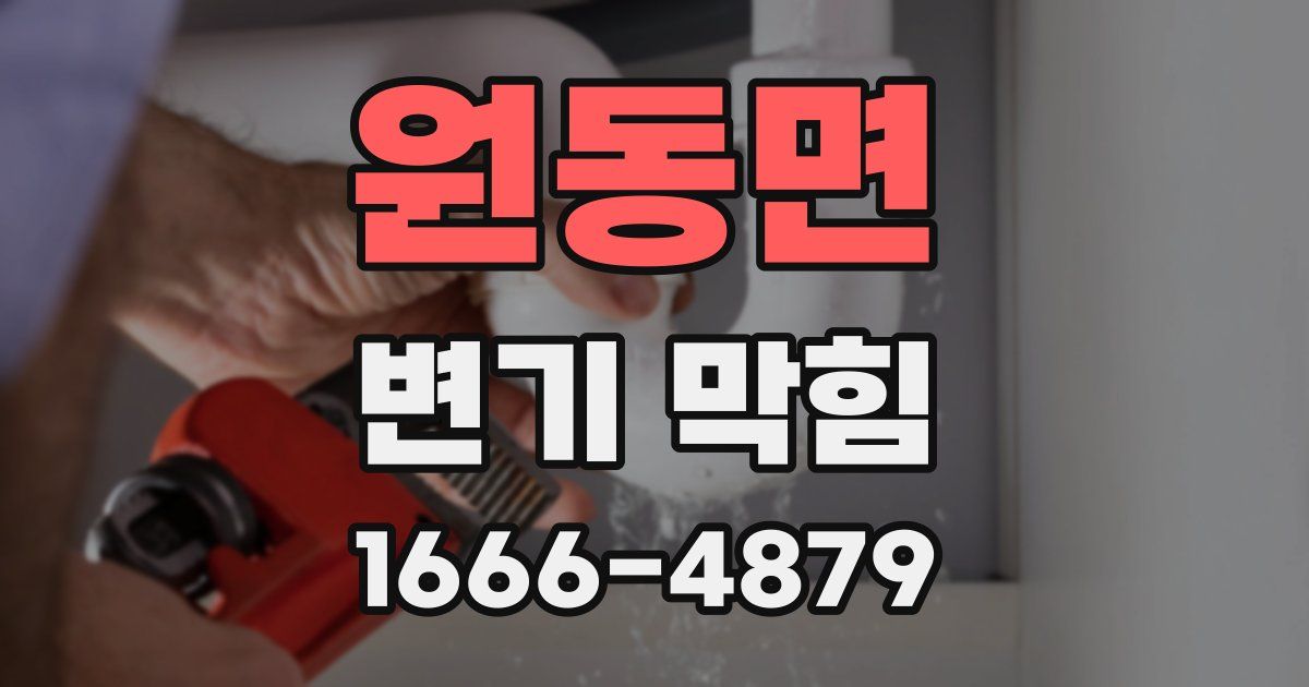 원동면 변기 막힘