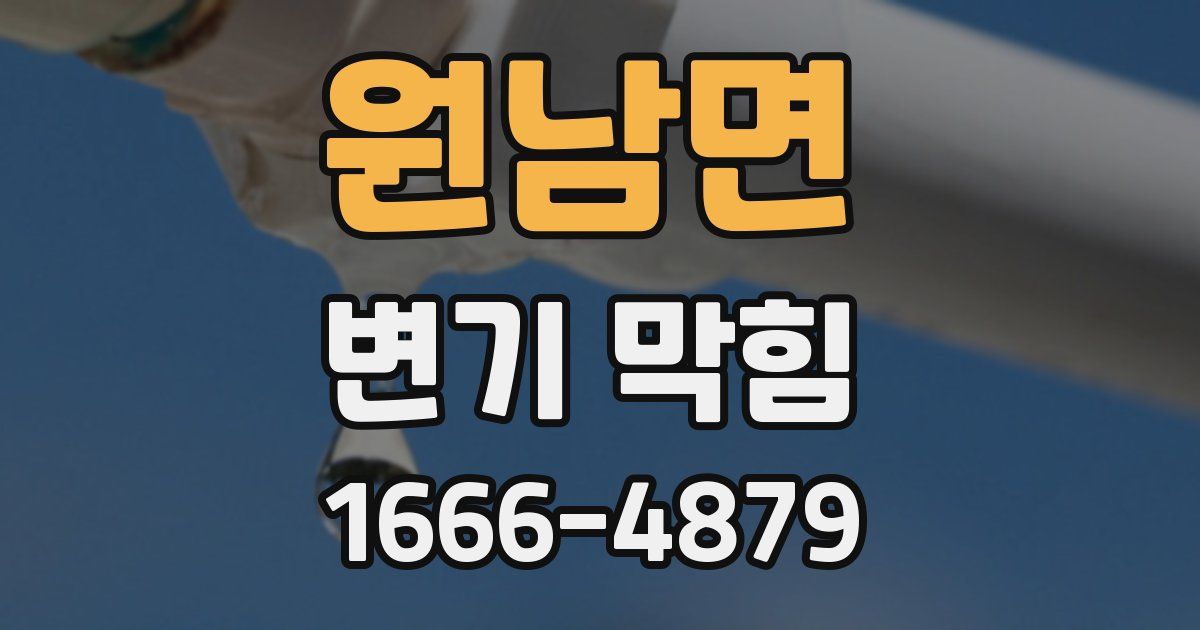 원남면 변기 막힘