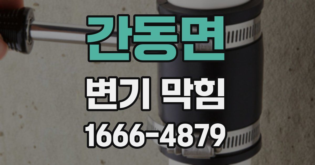 간동면 변기 막힘
