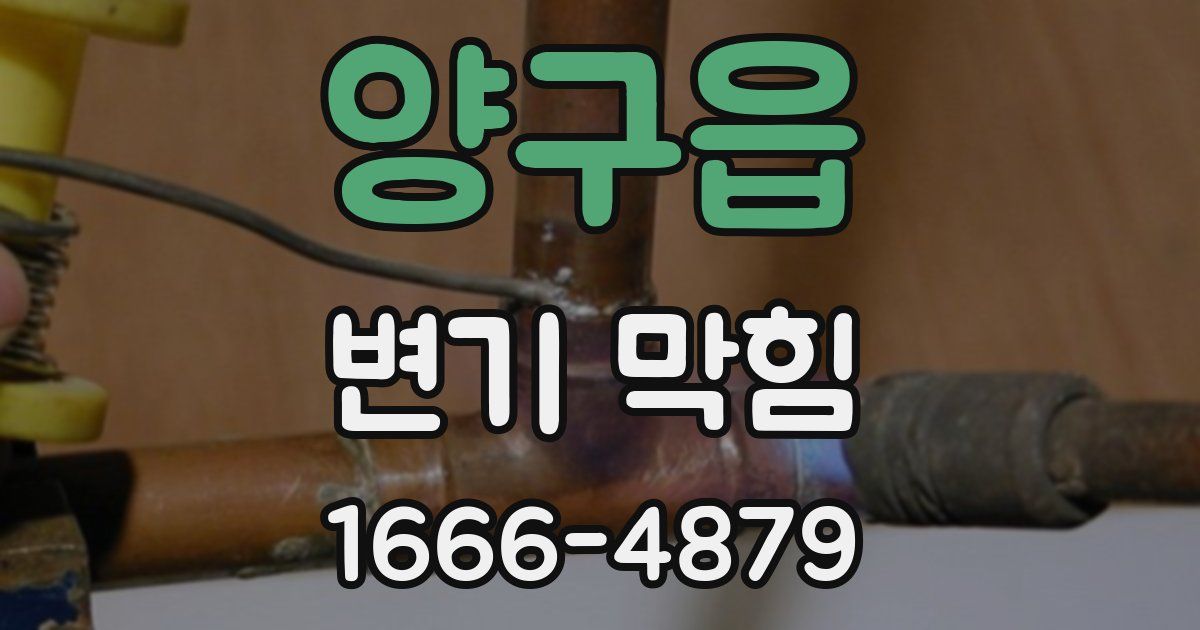 양구읍 변기 막힘