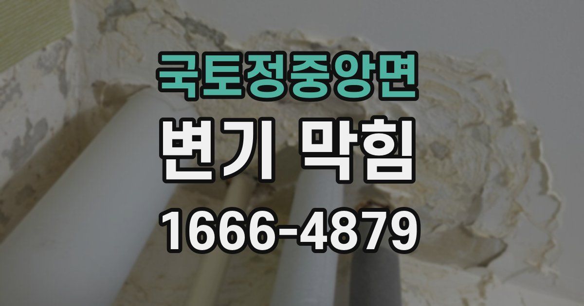 국토정중앙면 변기 막힘