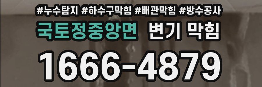국토정중앙면 변기 막힘