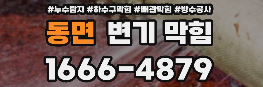 동면 변기 막힘