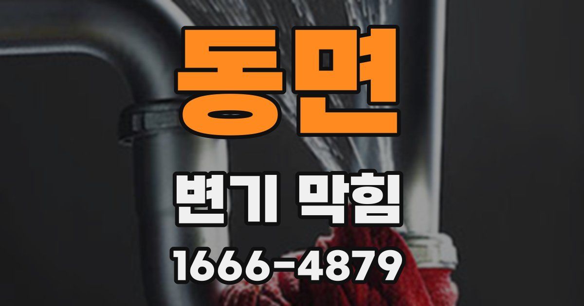동면 변기 막힘