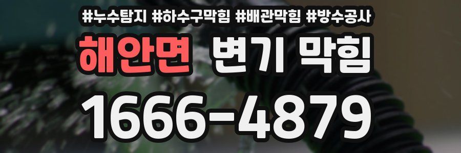 해안면 변기 막힘