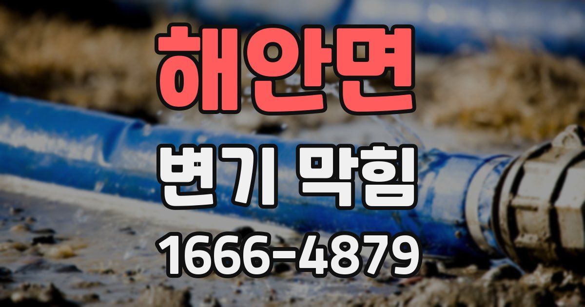 해안면 변기 막힘