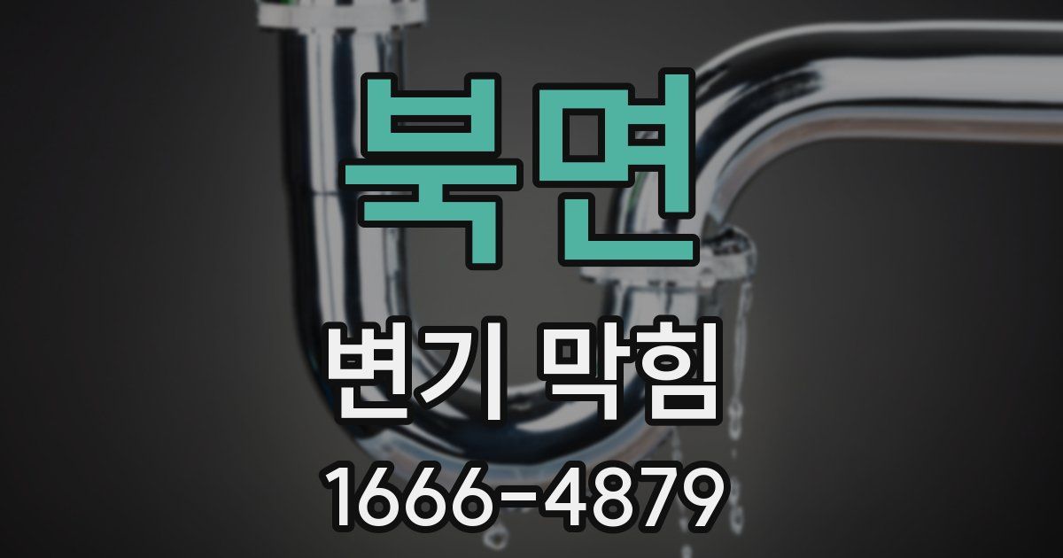북면 변기 막힘