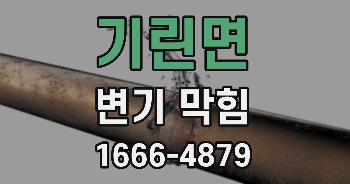 기린면 변기 막힘