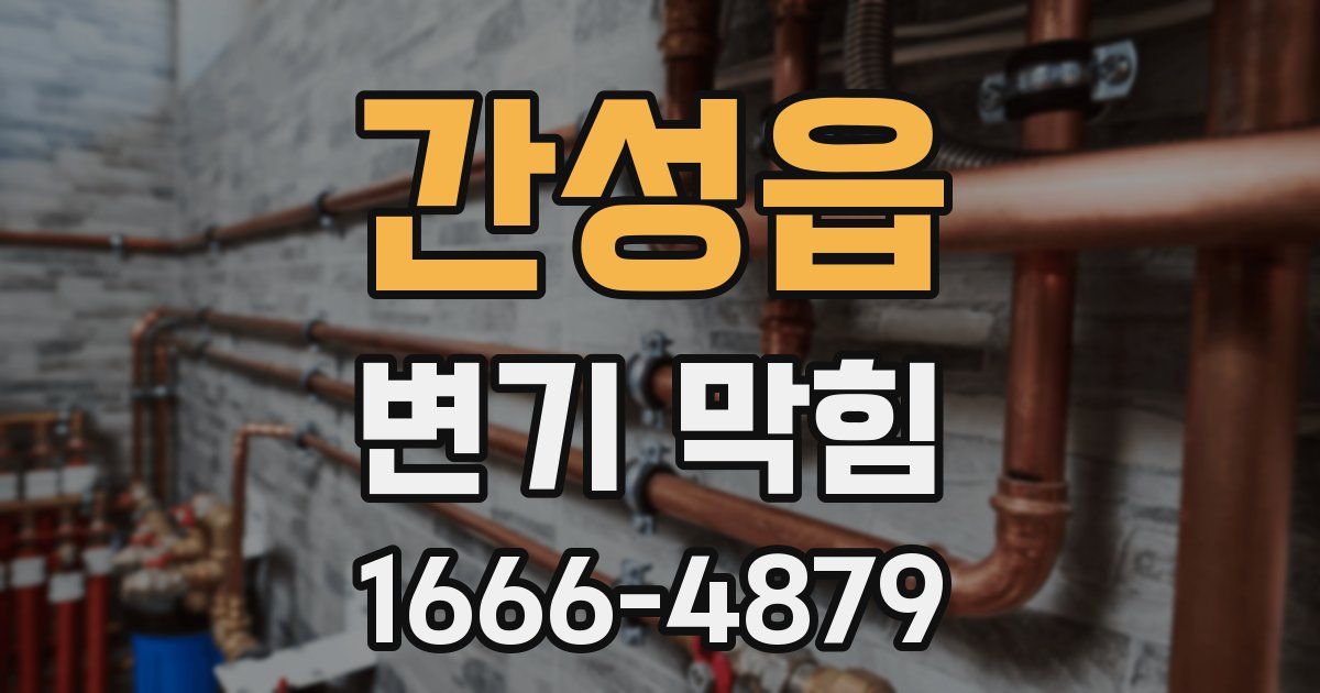 간성읍 변기 막힘