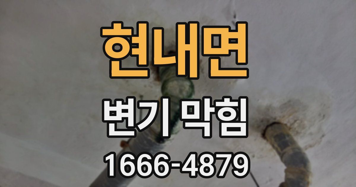 현내면 변기 막힘