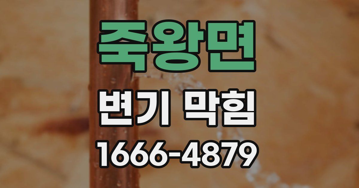 죽왕면 변기 막힘