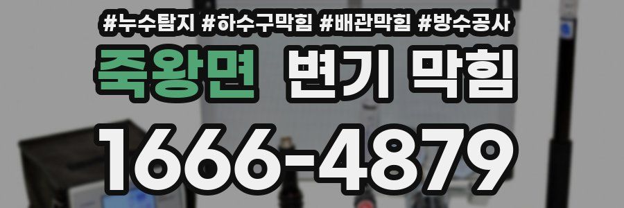 죽왕면 변기 막힘