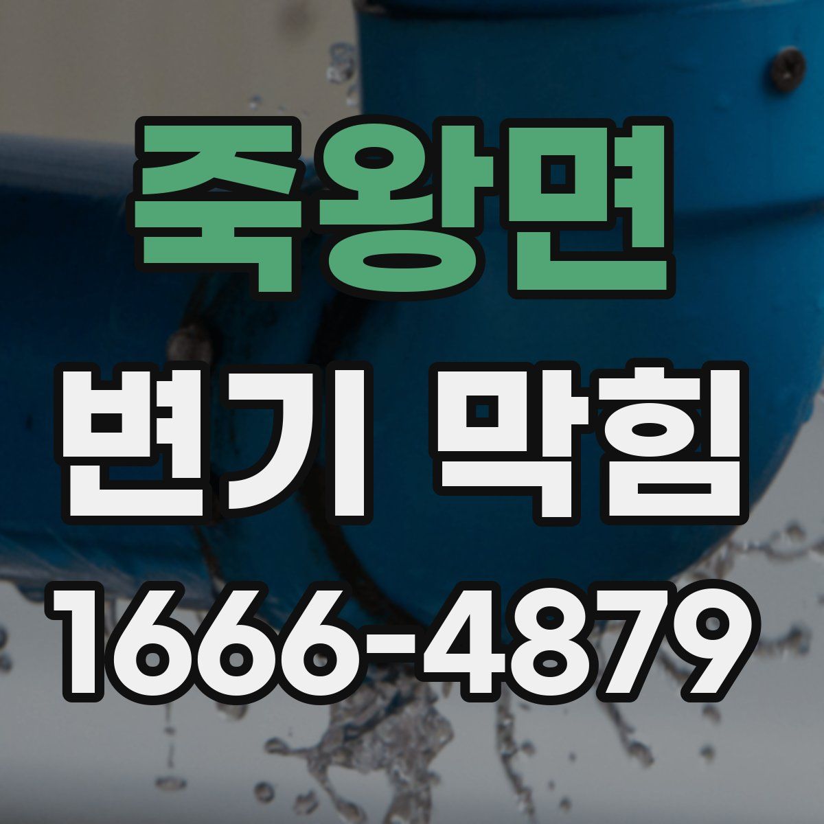 죽왕면 변기 막힘