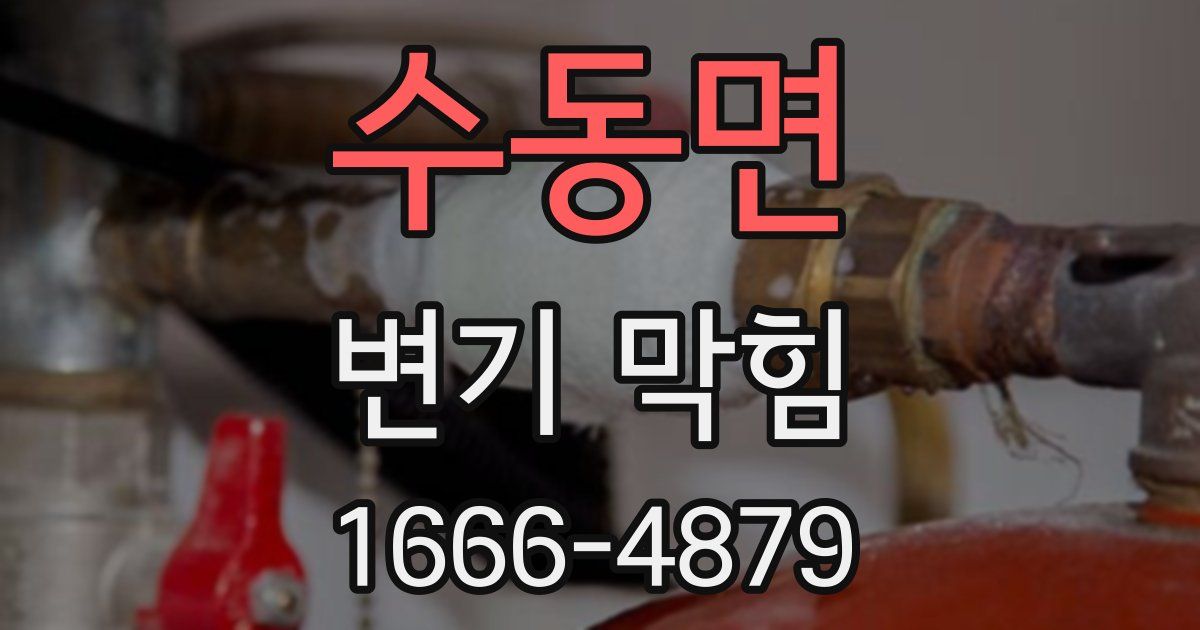 수동면 변기 막힘