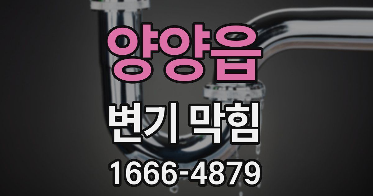 양양읍 변기 막힘