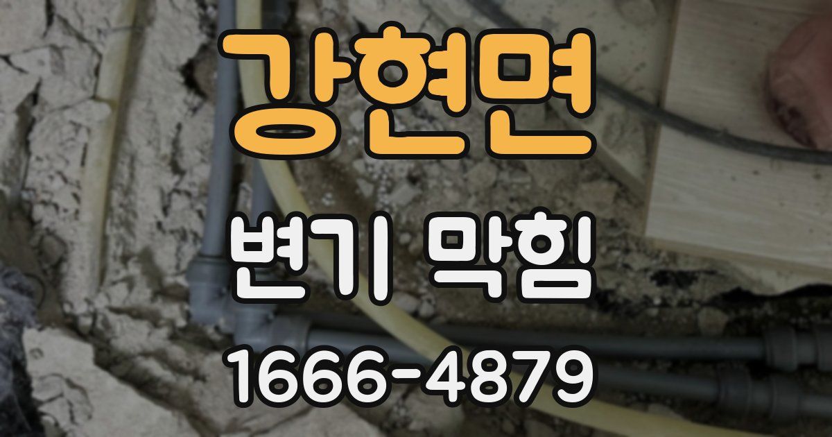 강현면 변기 막힘