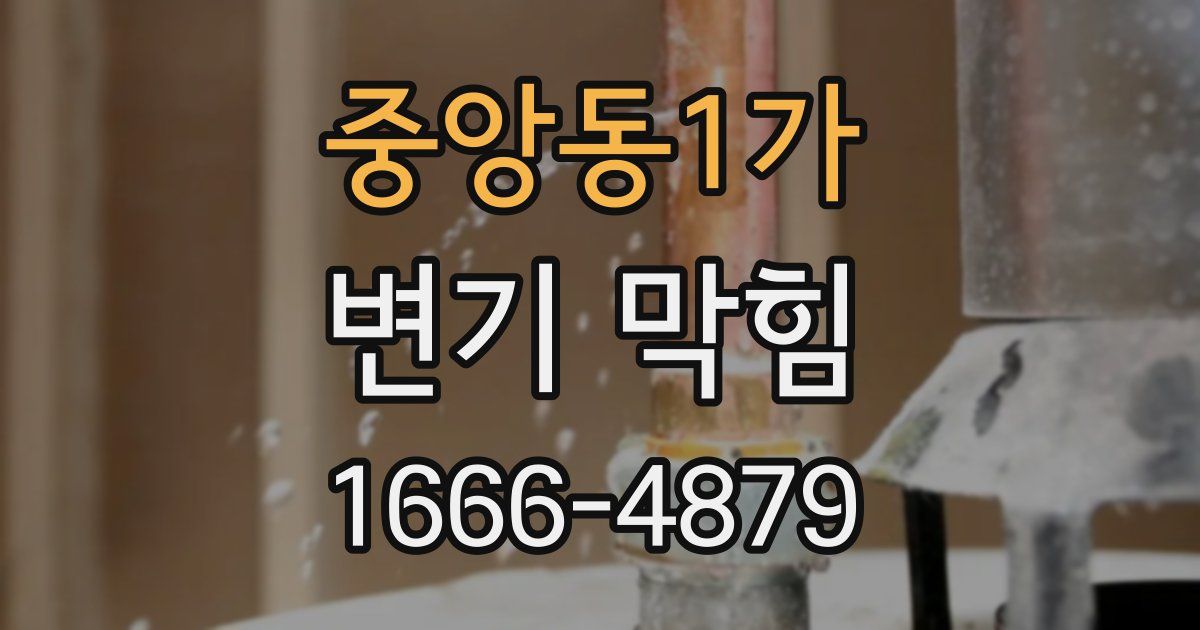 중앙동1가 변기 막힘