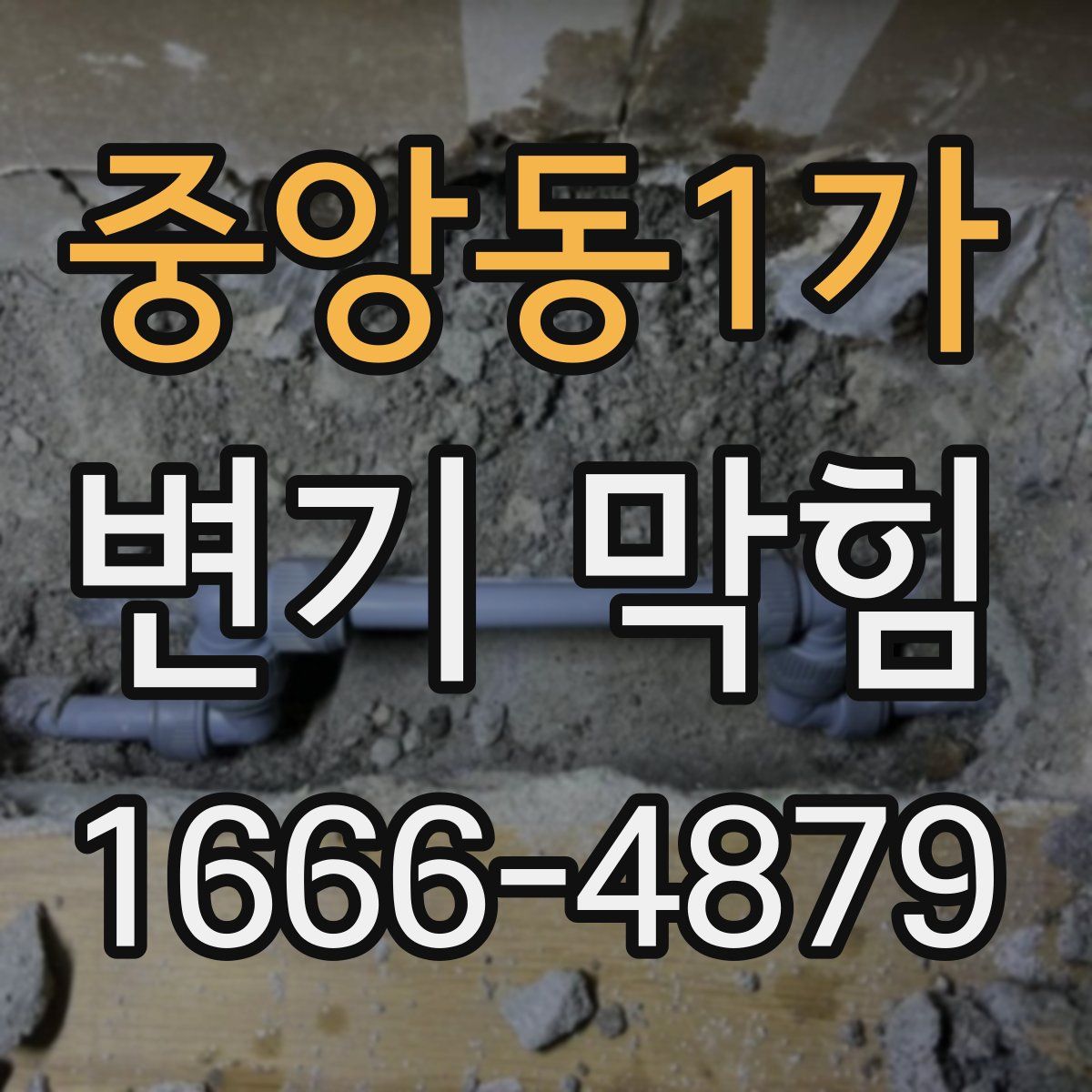 중앙동1가 변기 막힘
