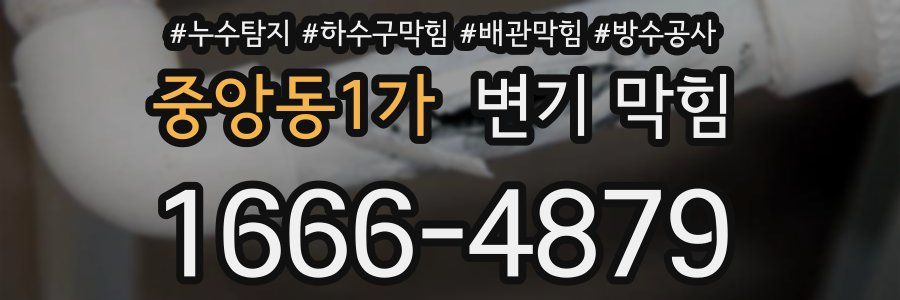 중앙동1가 변기 막힘