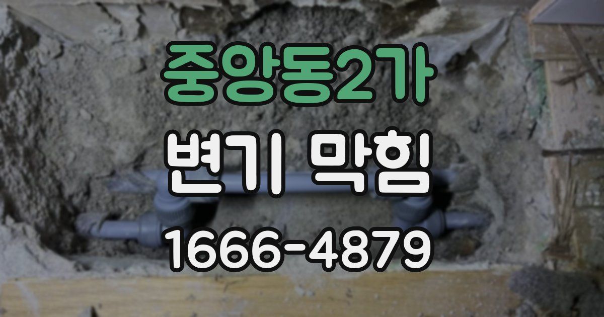 중앙동2가 변기 막힘