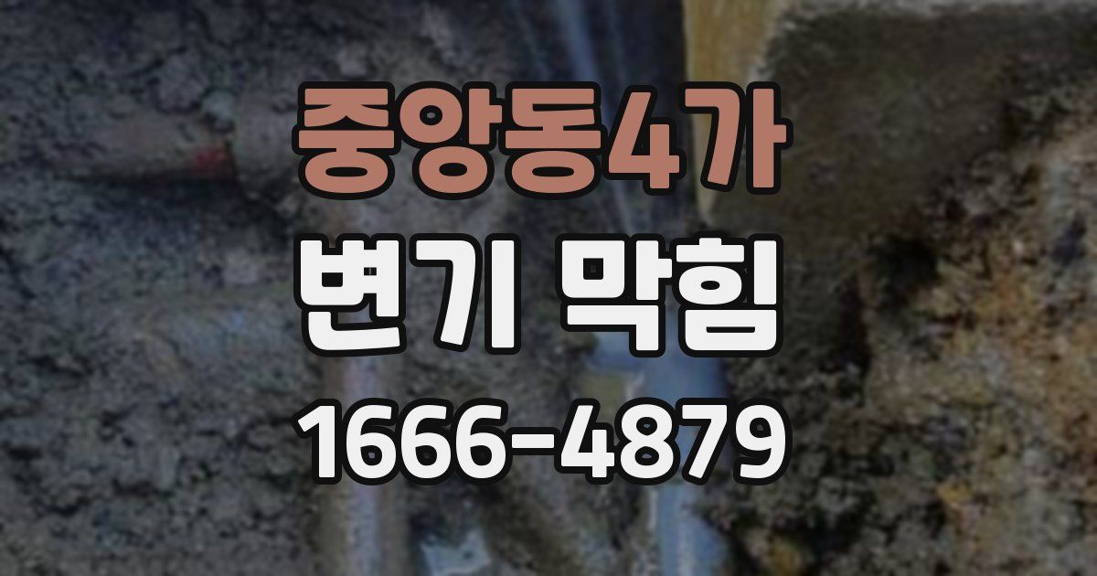 중앙동4가 변기 막힘