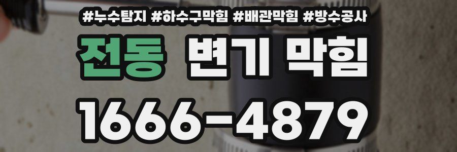 전동 변기 막힘