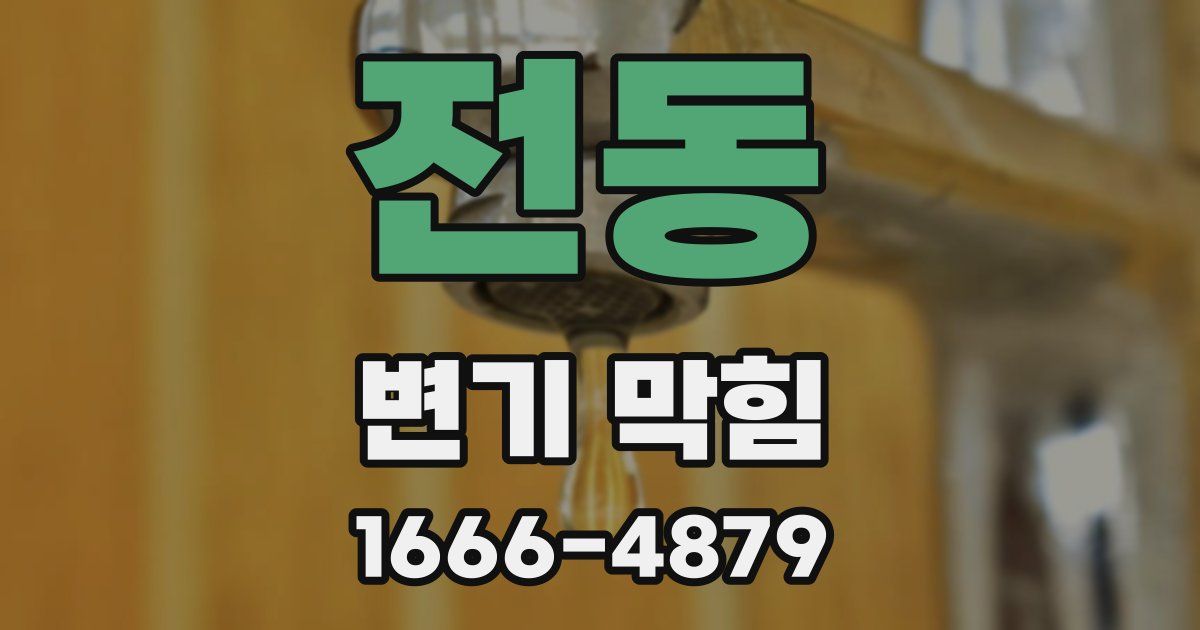 전동 변기 막힘