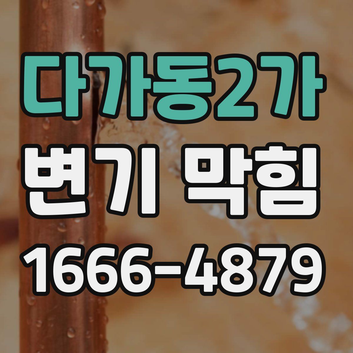 다가동2가 변기 막힘