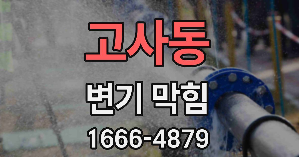 고사동 변기 막힘