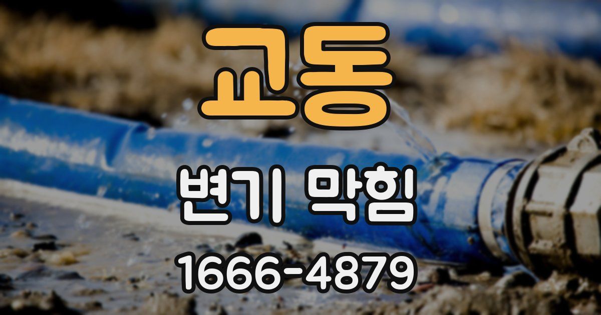 교동 변기 막힘