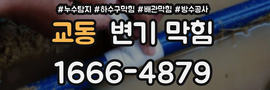 교동 변기 막힘