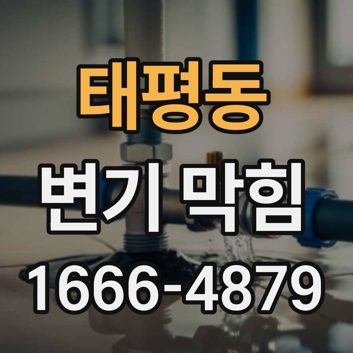 태평동 변기 막힘