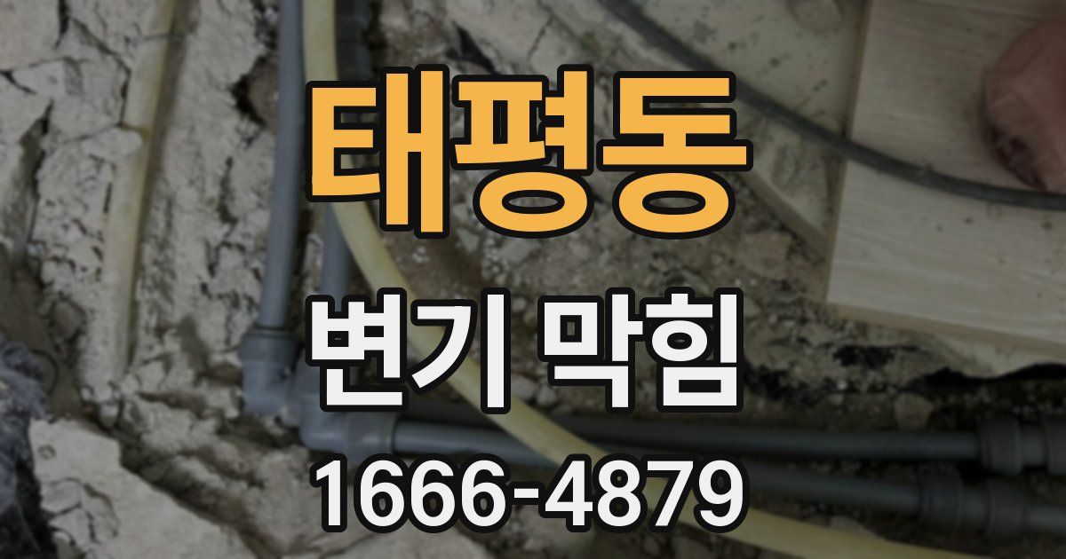 태평동 변기 막힘