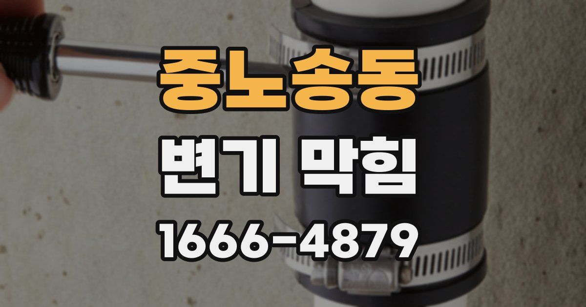 중노송동 변기 막힘