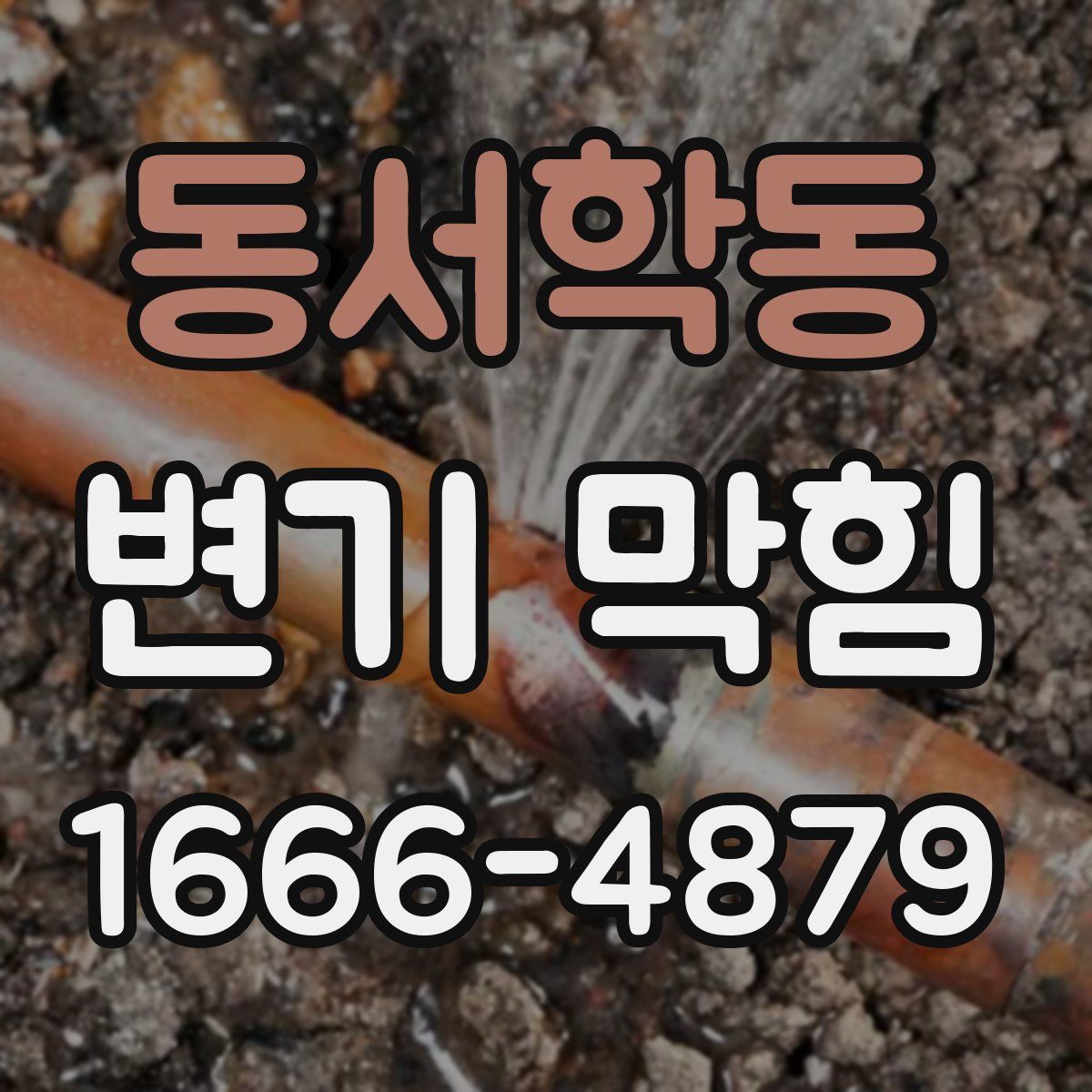 동서학동 변기 막힘