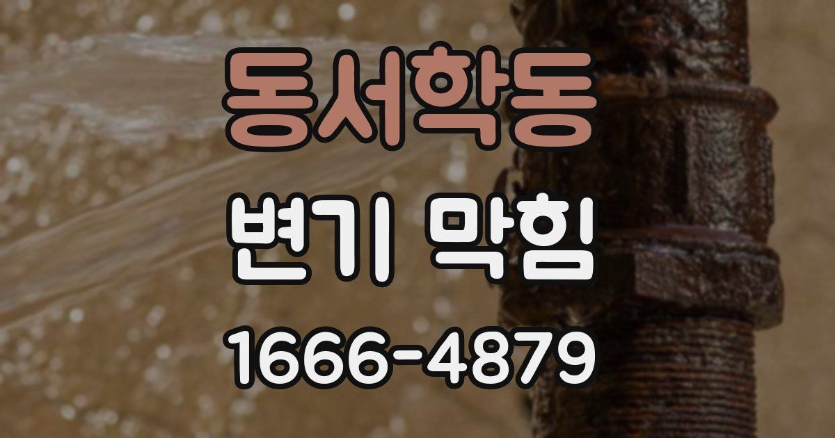 동서학동 변기 막힘