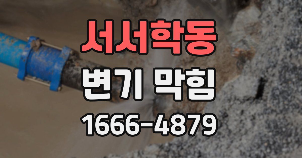 서서학동 변기 막힘