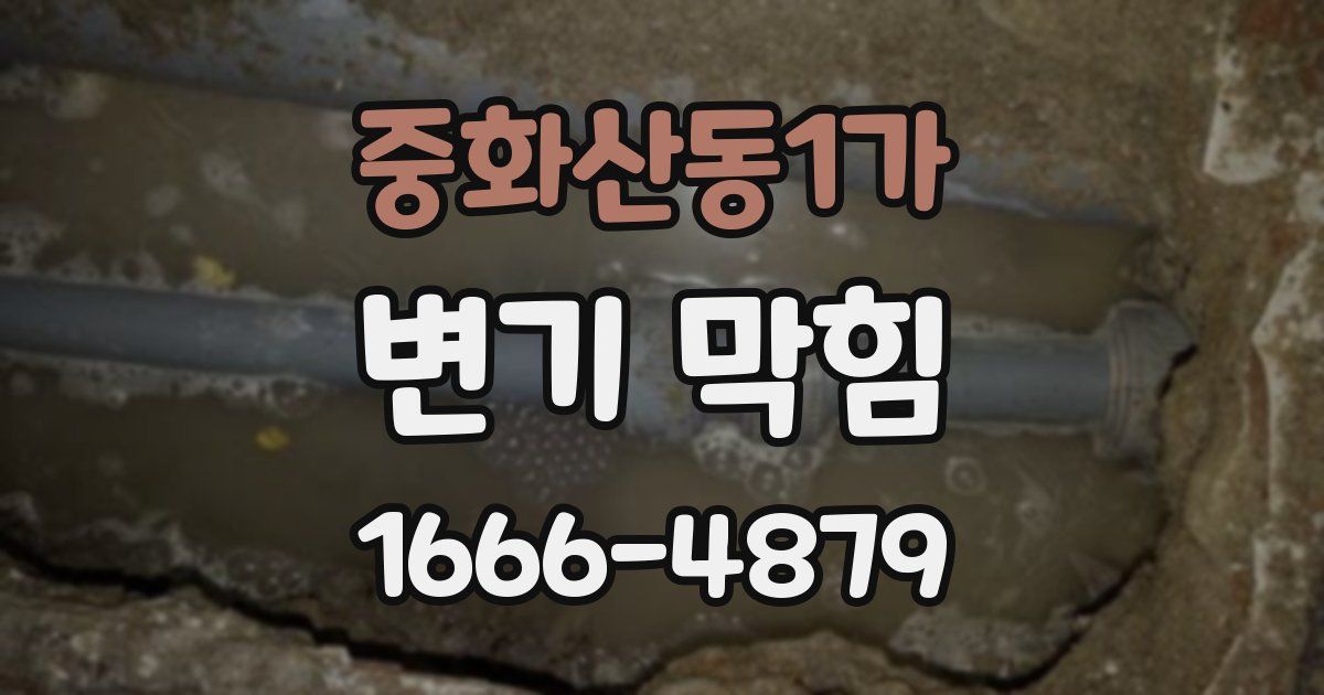 중화산동1가 변기 막힘