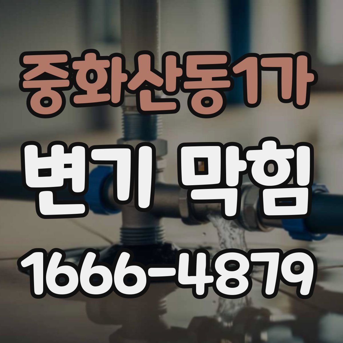 중화산동1가 변기 막힘