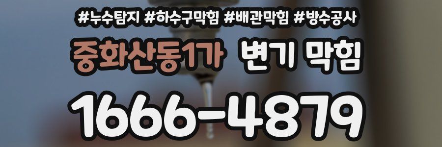 중화산동1가 변기 막힘