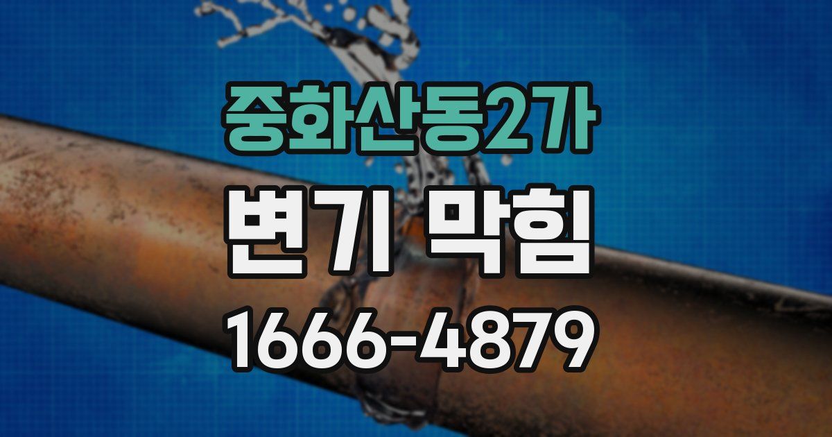 중화산동2가 변기 막힘
