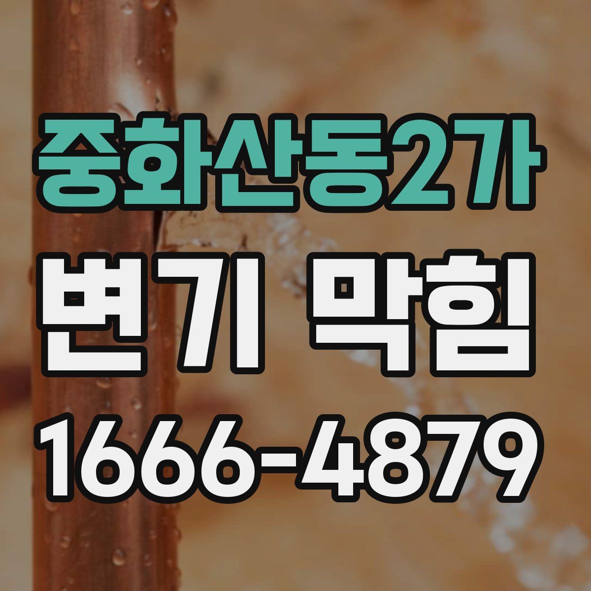 중화산동2가 변기 막힘