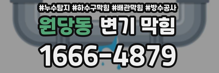 원당동 변기 막힘