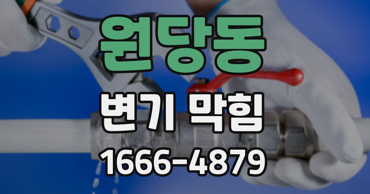 원당동 변기 막힘