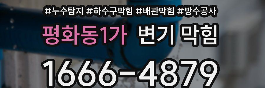 평화동1가 변기 막힘