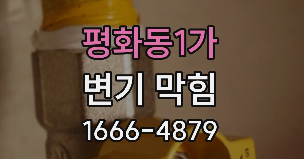 평화동1가 변기 막힘