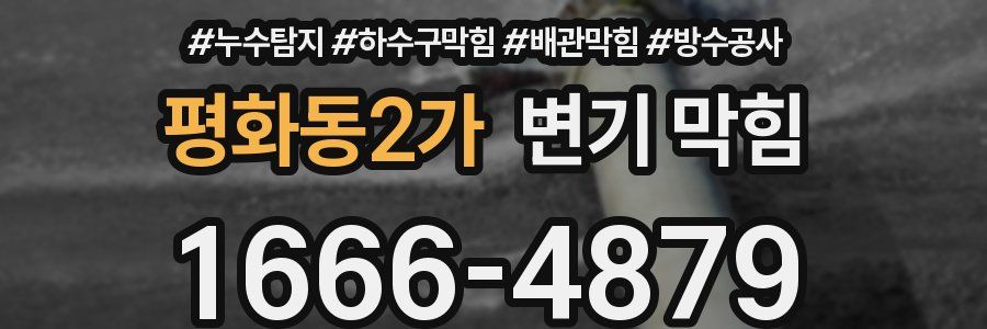 평화동2가 변기 막힘