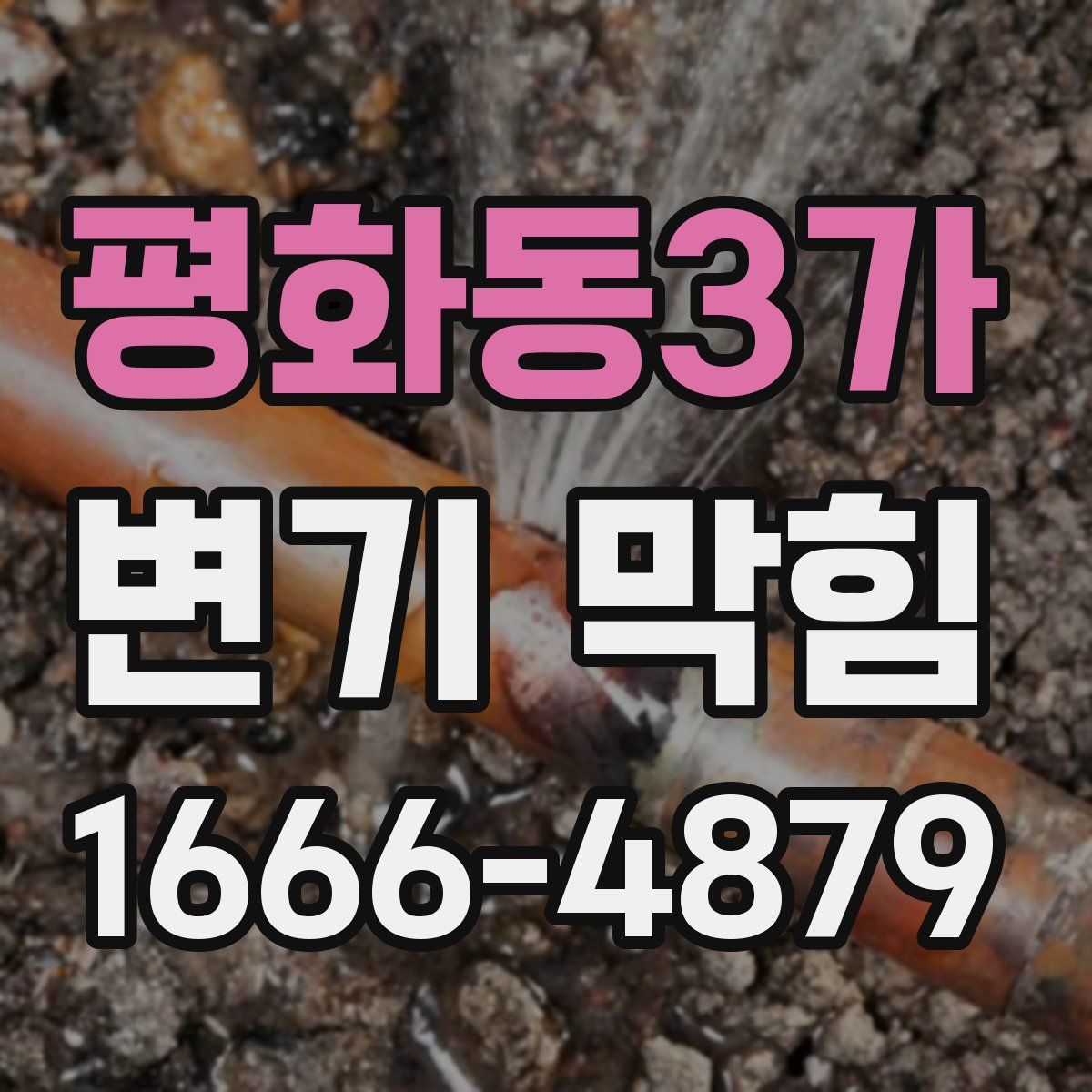 평화동3가 변기 막힘