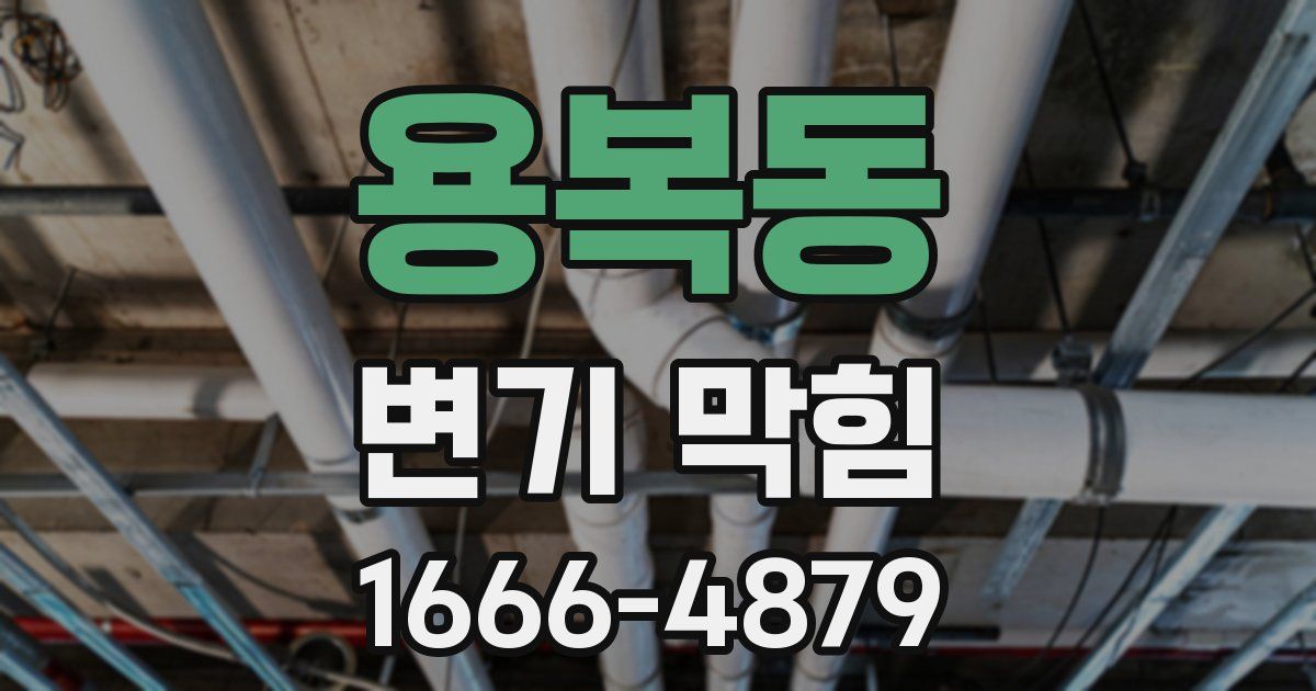 용복동 변기 막힘